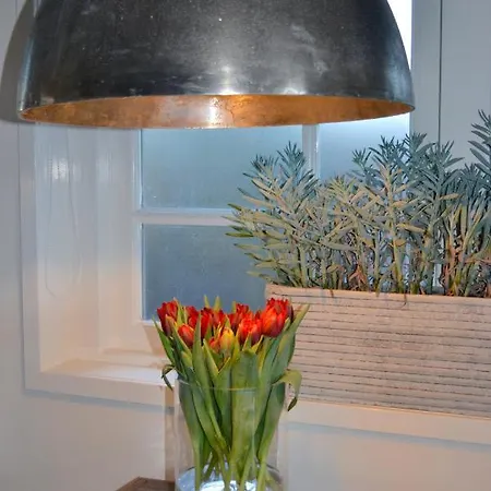 Studio/appartment Evi * 잔드보르트