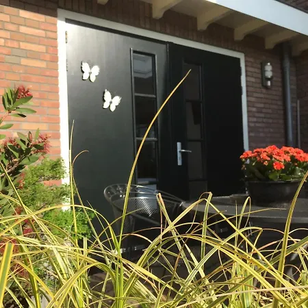 Studio/appartment Evi * 잔드보르트