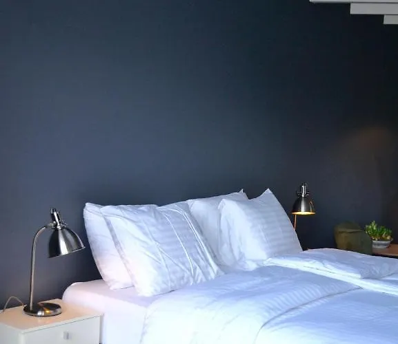 Studio/appartment Evi 아파트 잔드보르트