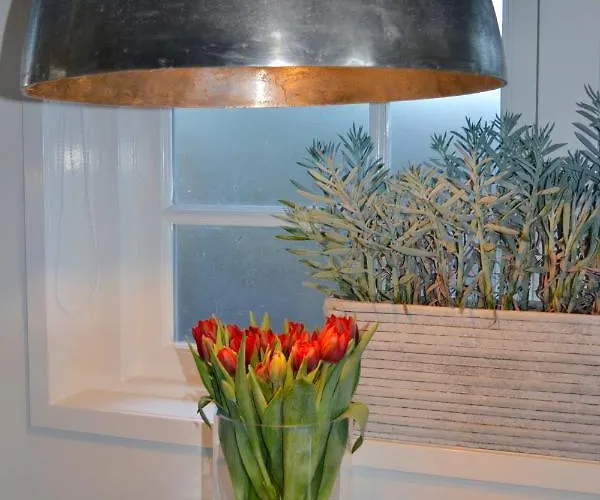 Studio/appartment Evi * 잔드보르트