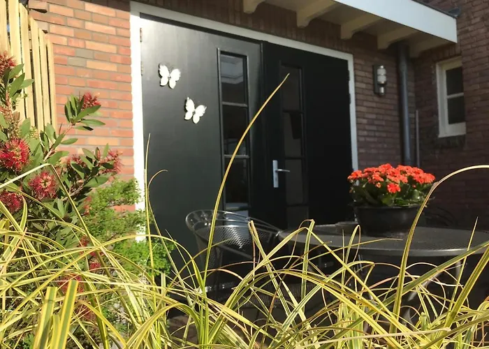 Studio/appartment Evi * 잔드보르트